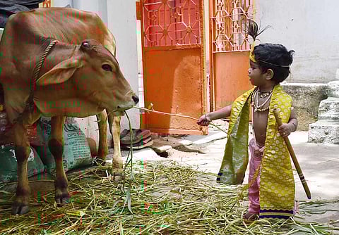 Children dressed up as Lord Krishna and gopikas take part in Krishna Janmashtami celebrations at Shri Shyam Baba Mandir in Kachiguda. (File Photo | Jwala)
