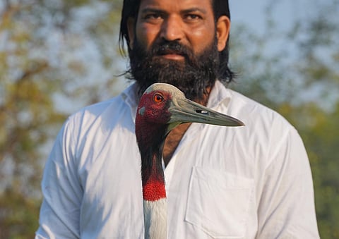 Arif Khan Gurjar with a 'Saras' crane that has 'befriended' him, at Mandaka Village in Jamo block, in Amethi district, UP. (Photo | PTI)