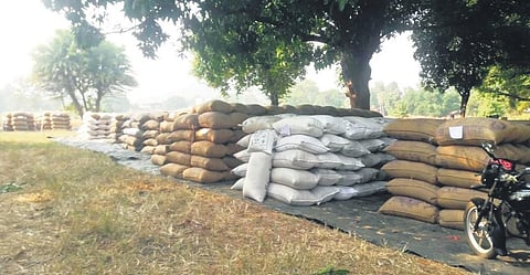 Paddy at a market yard in Kuchinda sub-division | Express
