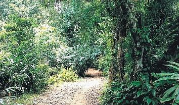What’s in a name: Palode, nestled by Western Ghats, treasures many tales