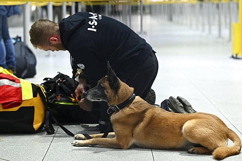 Rescue dog Hope waits for departure at Cologne/Bonn Airport, in Cologne, Germany, Monday, Feb. 6, 2023.  (Photo | AP)
