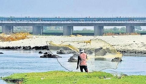 Yamuna pollution: Delhi L-G seeks urgent meeting with Haryana Chief Minister