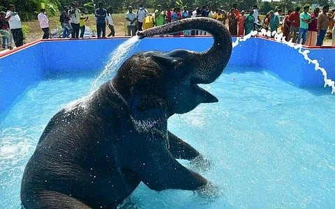 Construction of pools has been completed for 25 of them and work is on in the remaining temples.