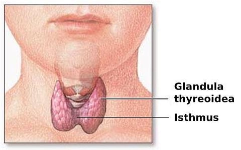 Image for representation purpose only. (Photo | Wikimedia commons)