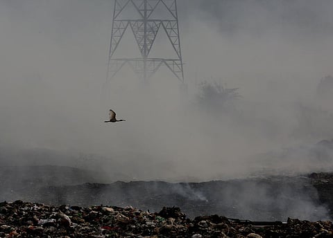 As Brahmapuram continues to choke Kochi residents, it is also having a harmful impact on the environment. (Photo | T P Sooraj, EPS)