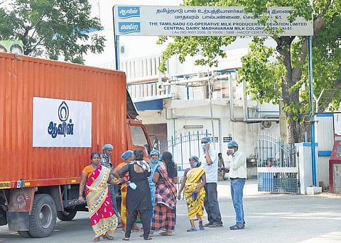 Tendering process is underway to upgrade Aavin Madhavaram dairy unit | Express