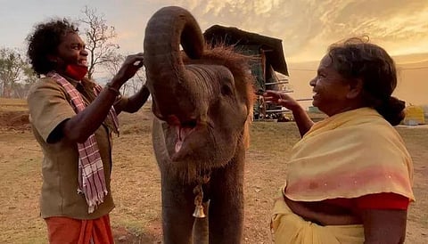Bomman and Bellie with an orphaned elephant calf. (Photo | Kartiki Gonsalves Instagram)