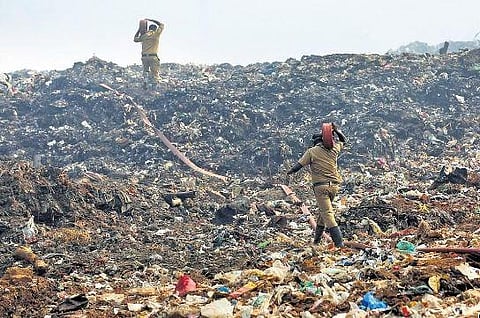 ​Fire and Rescue Services personnel engaged in extinguishing the fire at Brahmapuram waste treatment plant in Kochi. (Photo | T P Sooraj)   ​