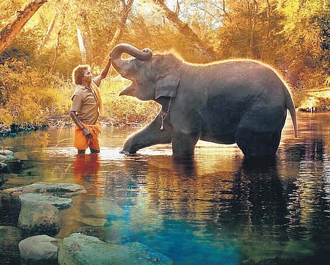 A still from the documentary The Elephant Whisperers. (File Photo)