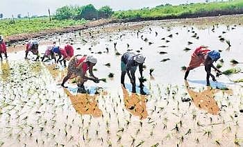 According to the forecast, there would be cloudy sky and haze during morning hours. These weather conditions are being attributed to a trough running from Jharkhand to Telangana across Chhattisgarh.