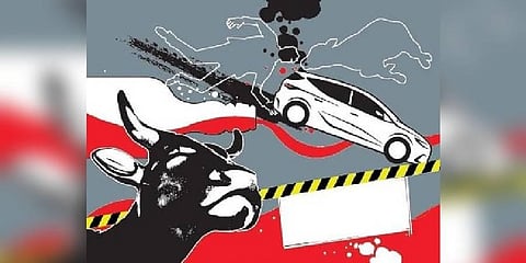 For reprentational purpose