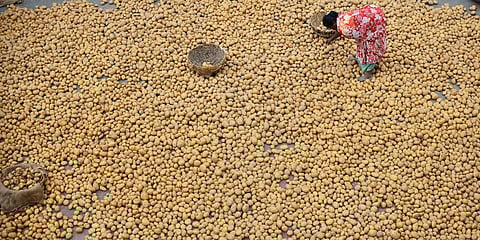 Image used for representational purpose only. (Photo | EPS)