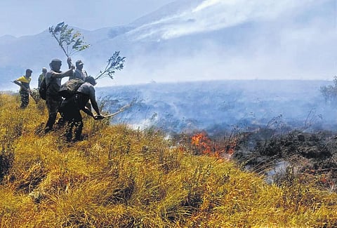 Forest department put out the fire in Akkamalai on Monday | special arrangement