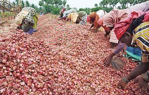 Image used for representative purpose only. (File photo | EPS)