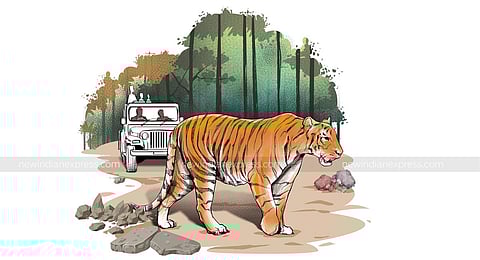 Image for representational purpose. (Express Illustration)