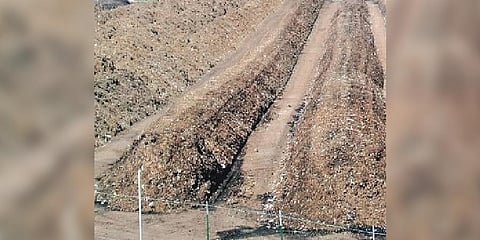 windrow compost plant