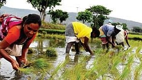 Image used for representational purposes only. 