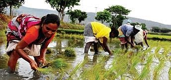 Agriculture Minister S Niranjan Reddy on Tuesday urged banks to be more generous in disbursing loans to farmers and to encourage the establishment of agri-based and food processing industries