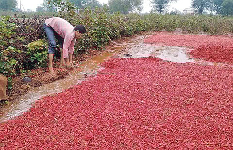 Image used for representative purpose only. (File photo | EPS)