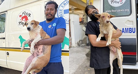 Vanguard of the streets