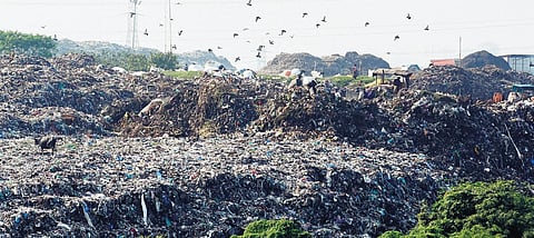 Tenders for biomining work to clear the legacy waste accumulated over 30 years at the Perungudi dumpyard were awarded in five packages | express