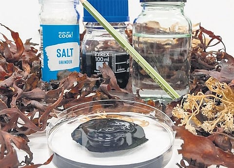 Image used for representational purpose only. (File Photo)