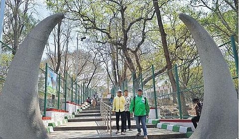 A tourism circuit that will come up in the city at a cost of Rs 180 crore will cover hotspots like Bull Temple Road  | Express