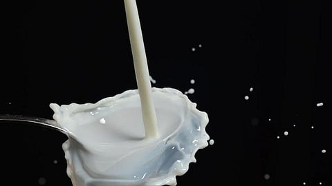 Union president Manjanagouda Patil defended the decision, explaining that the union has been facing a financial loss of Rs 20 crore. 