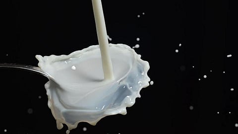 Milk. Image used for representational purposes only.