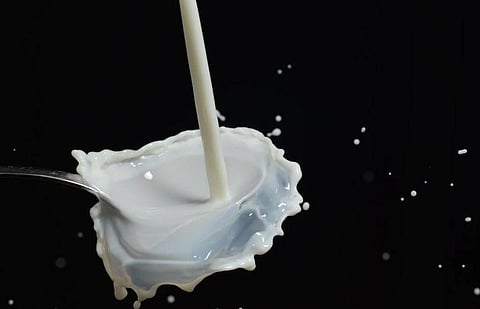 Milk. (Photo | Pexels)