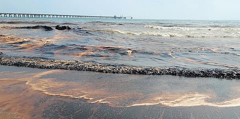 A view of the oil spread in the sea off the Pattinacherry coast in Nagapattinam district on Friday. Fishers said fish and other organisms were dying | Express
