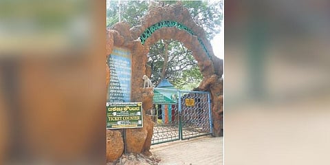 Mysuru Zoo