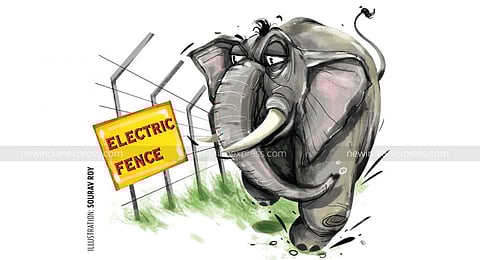 Image for representational purpose. (Express Illustration)