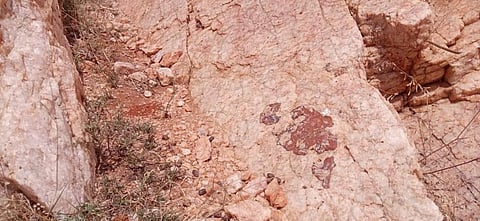 The black urn found on a mound in a hill near Sirupadu village. | Express