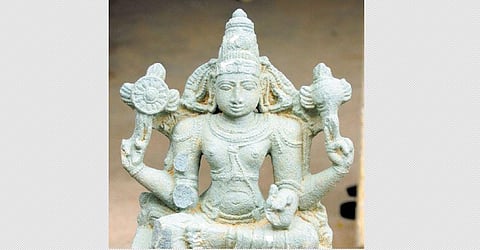 The little boy who went searching for love