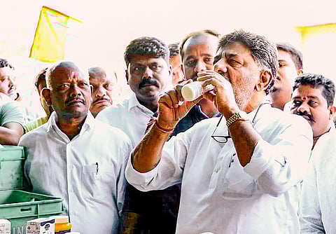 Karnataka Congress President DK Shivakumar visits a Nandini dairy stall, in Hassan, Karnataka. (Photo | PTI)
