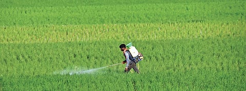 Image used for representational purpose only. (File Photo)