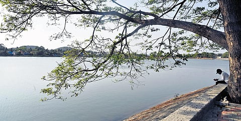 Chitlapakkam lake in Chennai | martin louis