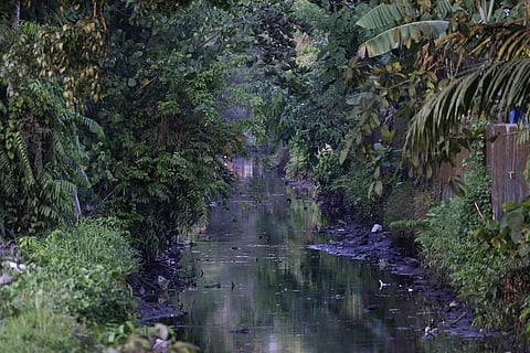 A polluted creek, a tributary of the Periyar River, is visible in Eloor, Kerala, March 4, 2023. Residents have risen up against the factories contaminating the river in the area. (Photo | AP)