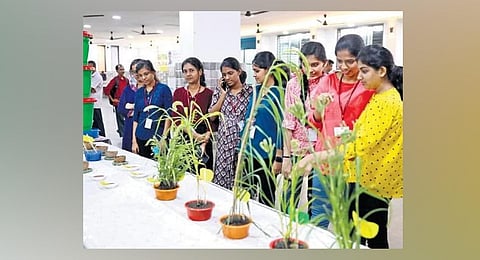 Visitors at the millets stall set up by IHRD Marayoor at Ernakulam Town Hall | Nishad T Ummer