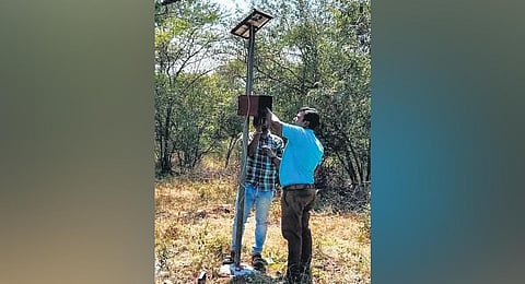 The system was installed on the 1.2km stretch between the Bannari check post and Bannari Amman temple in Sathymangalam Tiger Reserve | express