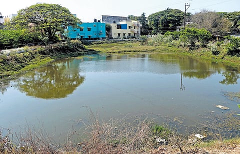 Various non-profit organisations have joined together under the AGG (right) to rejuvenate and protect Pondy’s waterbodies | sriram r