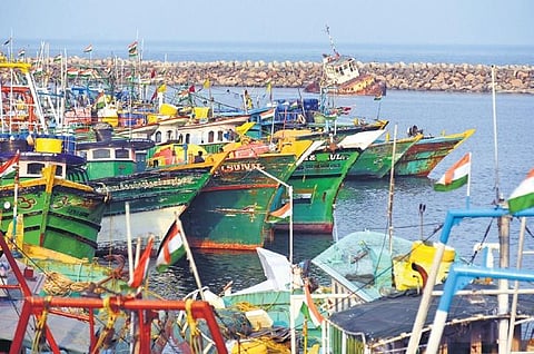 A view of Kasimedu harbour in Chennai on Saturday |  P Ravikumar