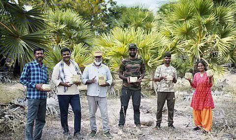 'Palmyra trees plays pivotal role in binding communities'