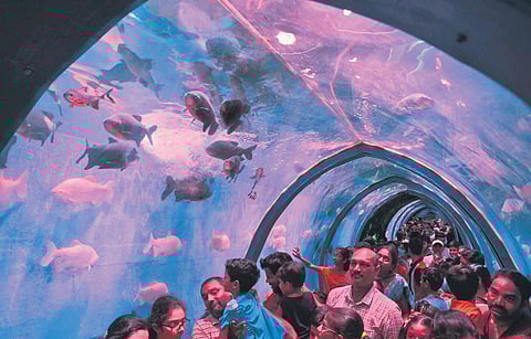 Visitors enjoy the unique aquarium experience at the Tunnel Aquarium Expo 2023 at Kukatpally on Sunday | Vinay Madapu
