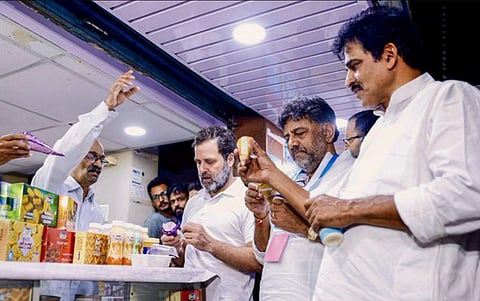 Congress leader Rahul Gandhi at a Nandini milk shop during his visit to Karnataka, on Sunday, April 16, 2023. (Photo | PTI)