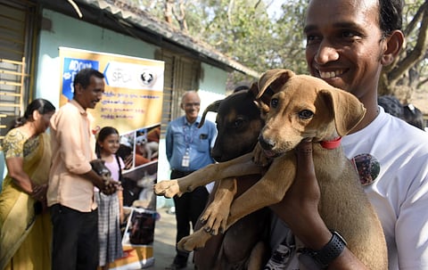 (Photo | S Senbagapandiyan, EPS)