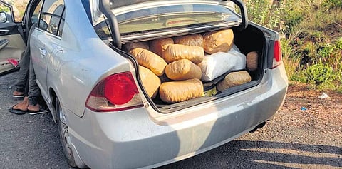 Tamil Nadu: 81 kg ganja worth Rs 48.6 lakh seized, one held