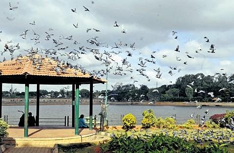 Image of sankey tank used for representational purpose only.