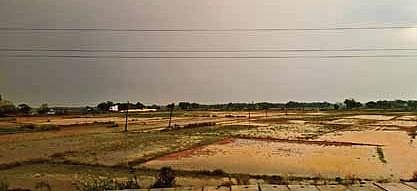 A waterlogged crop field in Kendrapara district | Express